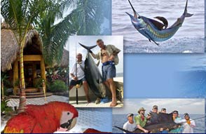 Collage ad of adventures provided by Uncommon Adventures